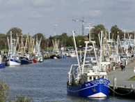 Fischereihafen Bsum