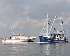 Seenotrettungskreuzer und Krabbenkutter beim Husumer Hafenfest