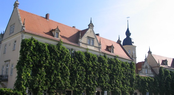 Rathaus in Riesa