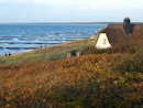 Reetdachhaus am Strand