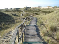 Bohlenweg durch das Naturschutzgebiet Amrumer Dnen von Nebel zum Strand