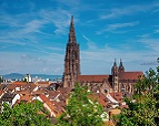 Freiburger M&uuml;nster