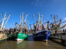 Krabbenkutter im Fedderwardersieler Hafen