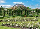 Rosenhhe: Die Entstehung des Parks geht zurck auf das Jahr 1810. Im Auftrag der Groherzogin Wilhelmine wurde der Schwetzinger Gartenbaudirektor Zeyher beauftragt, auf der Anhhe eine Gartenkomposition zu schaffen, die den freien, edlen Geist landschaftlicher Natur atmet. Im Jahr 1826 erhielt die Parkanlage eine neue Bewertung als Grabsttte des groherzoglichen Hauses durch den Bau des klassizistischen Mausoleums durch Moller sowie des neuen Mausoleums durch Professor Hofmann 1905...