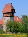 Buerlinsturm in Dinkelsbhl