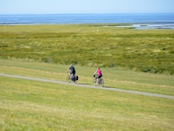 Radfahren am Deich