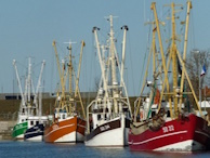 Im Hafen von Friedrichskoog