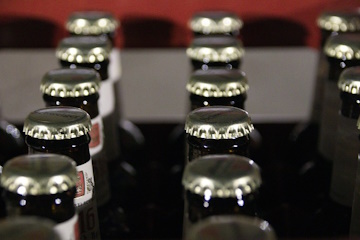 Bier