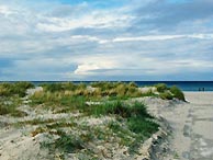 Ostseeküste bei Prerow