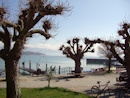 Uferpromenade in Friedrichshafen