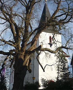 Kirche in Alpenrod