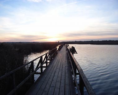 Federsee Bad Buchau