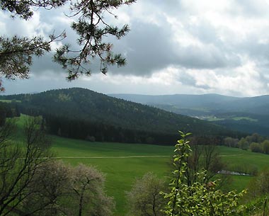 Bayerischer Wald