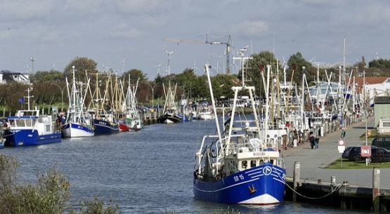 Fischereihafen Bsum