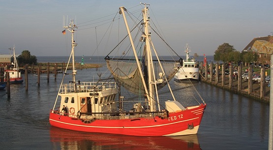 Kutter im Hafen von Butjadingen