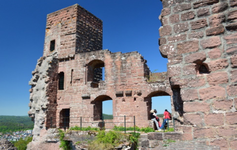 Burg Altdahn