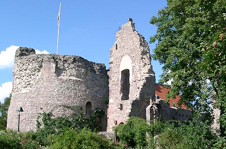 Burgruine Dreieichenhain