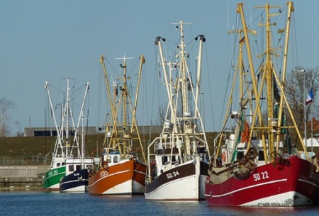 Im Hafen von Friedrichskoog