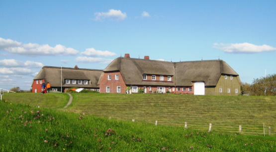 Knudtswarft auf der Hallig Grde