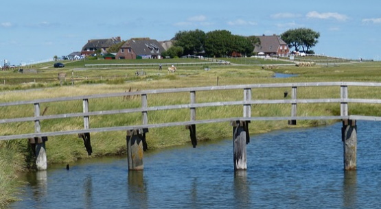 Warft auf der Hallig Hooge