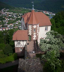 Blick vom Dilsberg