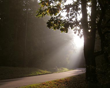 Oberpflzer Wald