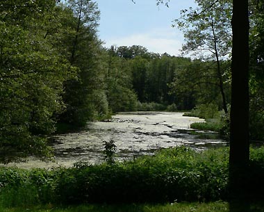 In der Uckermark