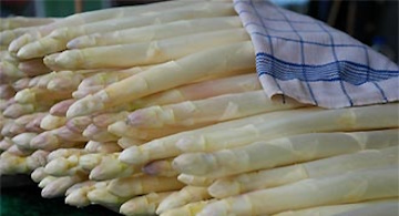 Spargel