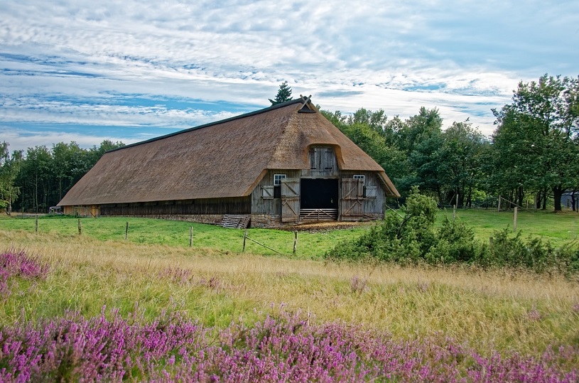 Lneburger Heide