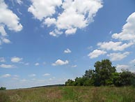 Landschaft im Saarland