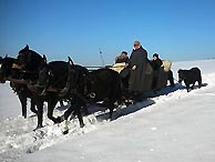 Winter im Vogtland