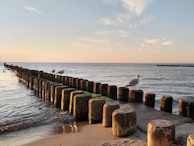 Am Strand in Ahrenshoop