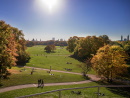 Englischer Garten