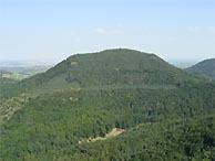 Pf�lzerwald