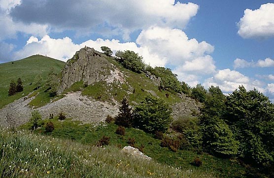 Pferdskopf