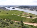 Blick auf Rdesheim und Rhein