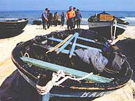 Fischerboote in Baabe