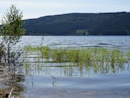 Schluchsee