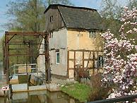 Buschmühle in Raddusch