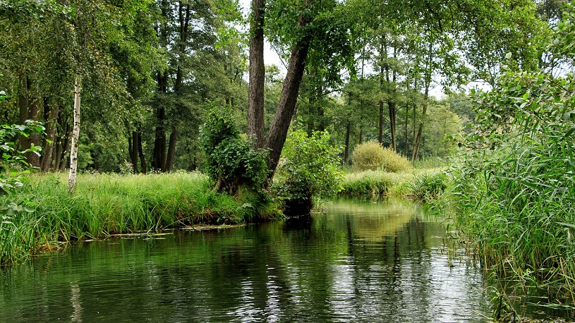 Spreewald