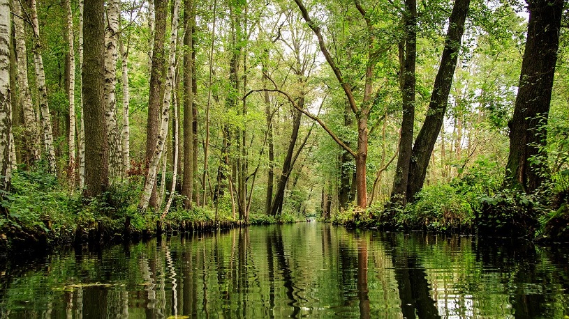 Spreewald