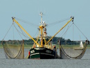 Fischkutter vor Borkum