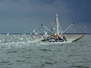 Fischkutter vor Norderney