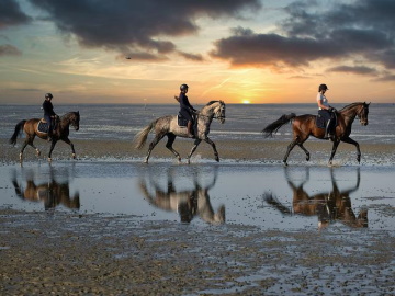 Reiten am Strand