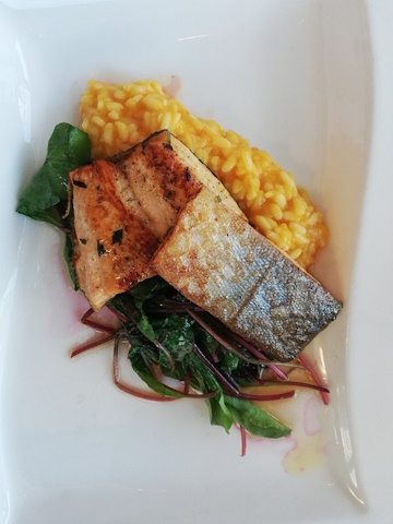 Fisch Fisch