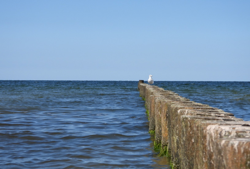 Buhne im Norden von Westerland