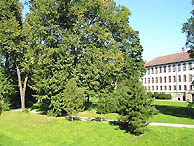 Schlosspark in Meiningen