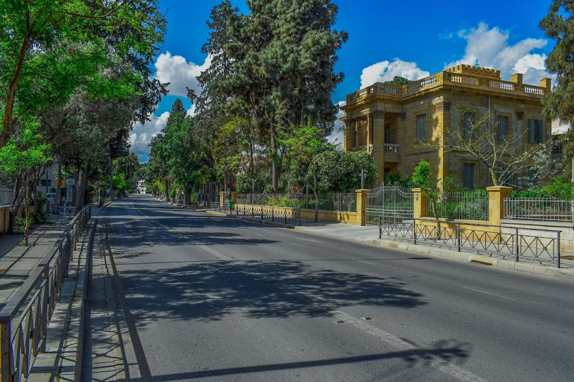 Bäume in der Straße Bäume in der Straße