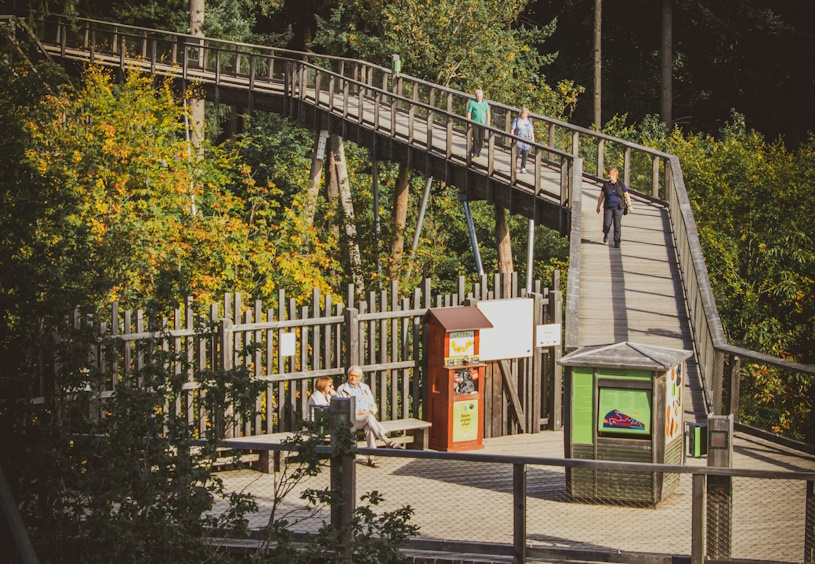 Baumwipfelpfad Baumwipfelpfad