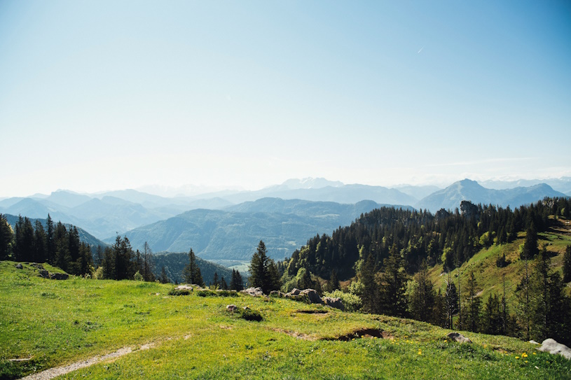 Bayerischer Wald